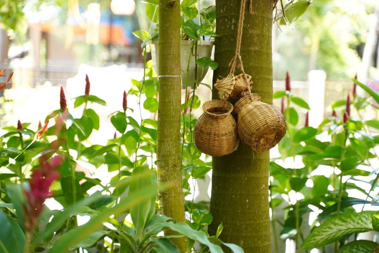 Longan Homestay Hoi An Esterno foto